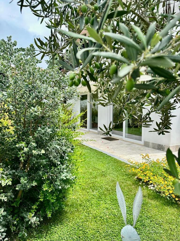 Casa Mila White Villa Marina di Cerveteri Exterior photo